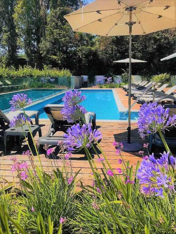 Pool surrounded by flowers